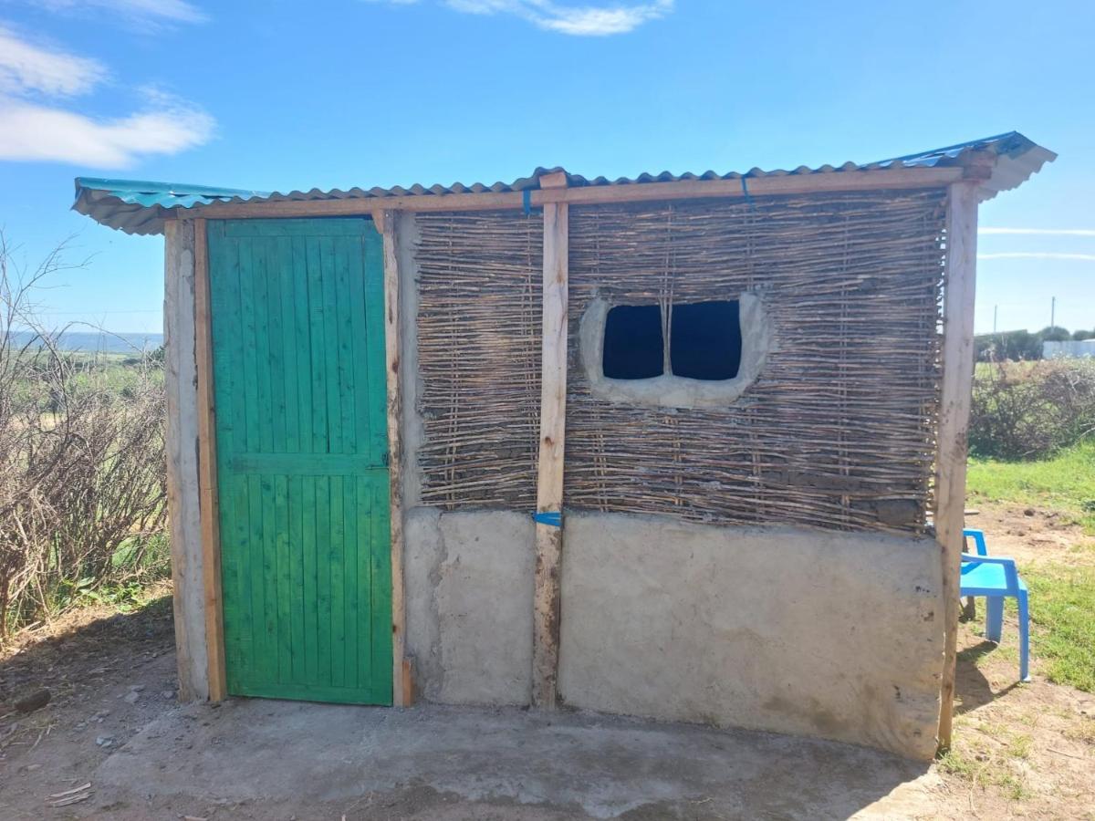 Maasai homestay camping Sekenani Luaran gambar
